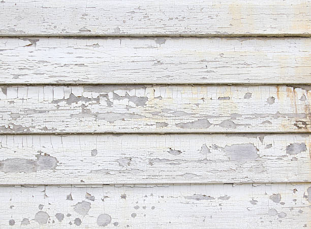 Best Wood Siding Installation  in Freeland, WA